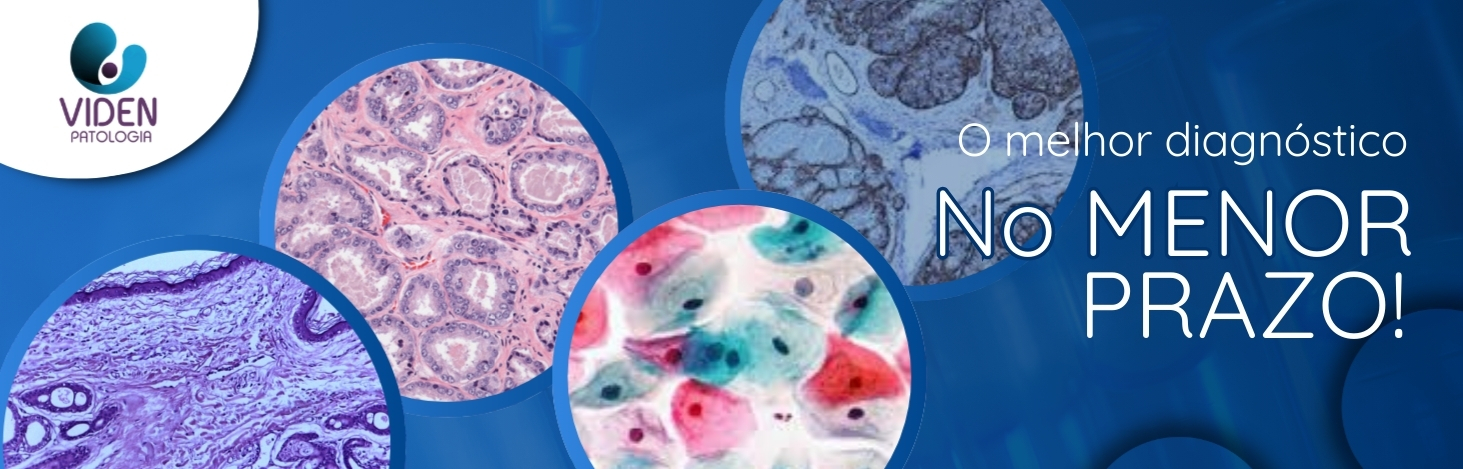 Laboratório Viden - Banner 1